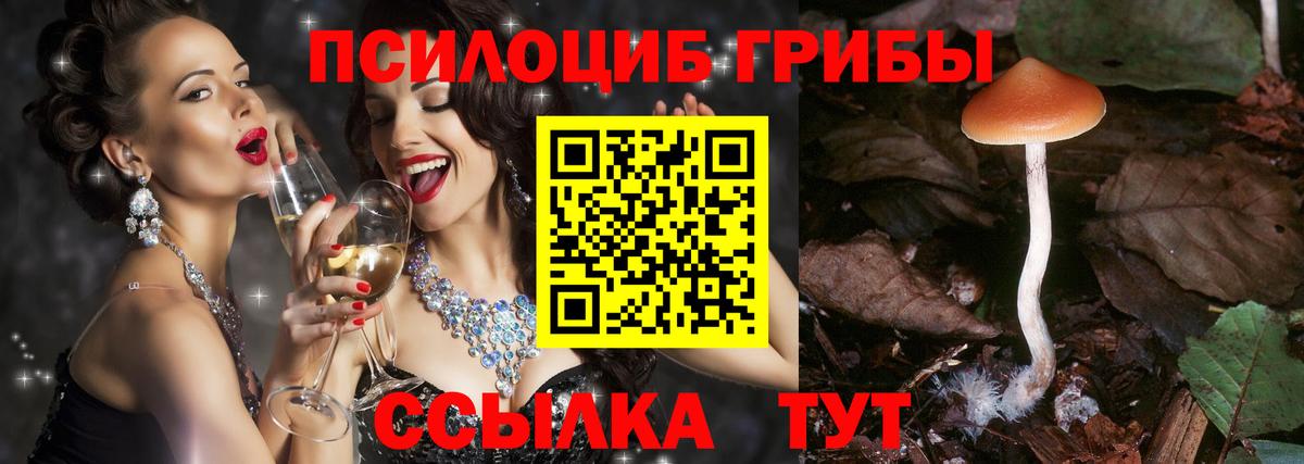 Владикавказ  купить наркотик  Вход с VPN  Галлюциногенные грибы Psilocybine cubensis  Галлюциногенные грибы Psilocybine cubensis 